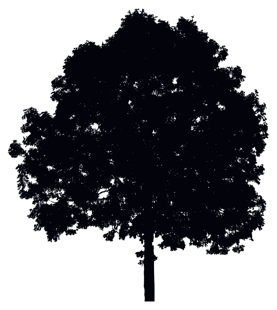 OnlineLabels Clip Art - Single Tree Silhouette